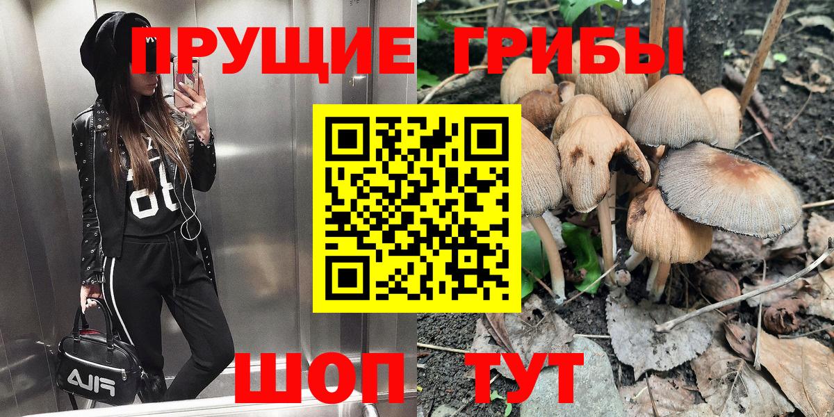 Псилоцибиновые грибы Psilocybine cubensis Тара